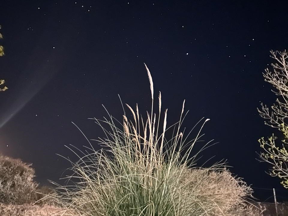 El cielo estrellado sobre el pastizal, desde el patio de las casas