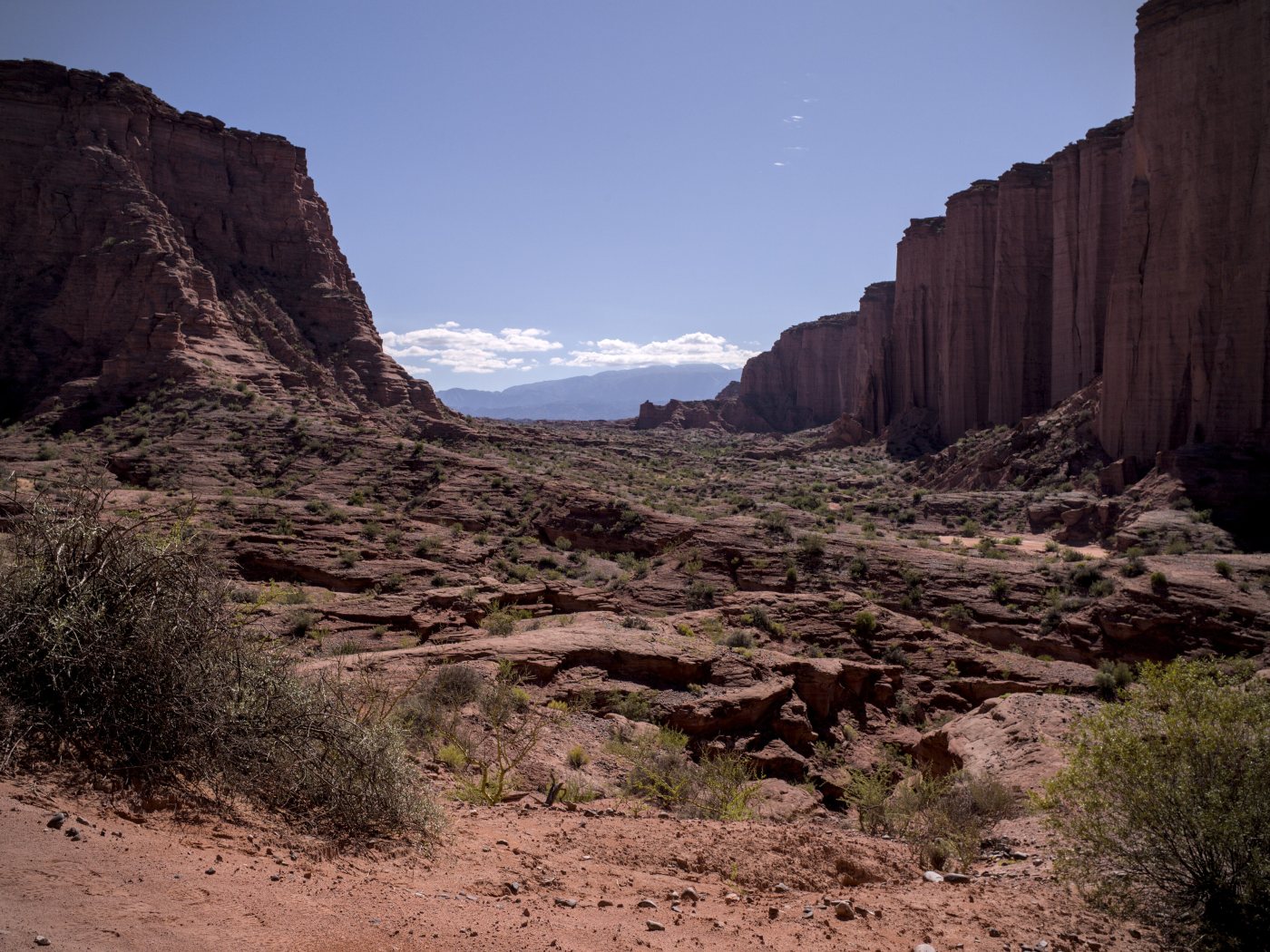 El cañón de Talampaya, entre paredones rojos que se cierran sobre el camino